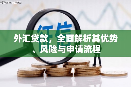 兖州外汇贷款，全面解析其优势、风险与申请流程
