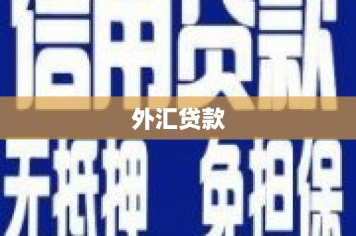 兖州外汇贷款
