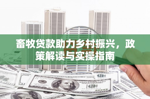 兖州畜牧贷款助力乡村振兴，政策解读与实操指南