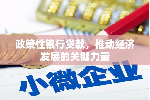 兖州政策性银行贷款，推动经济发展的关键力量