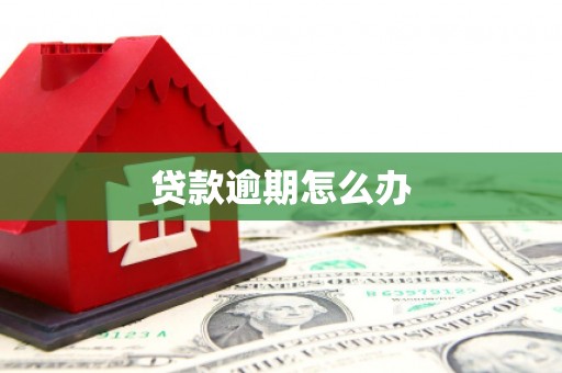 兖州贷款逾期怎么办