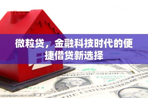 兖州微粒贷，金融科技时代的便捷借贷新选择