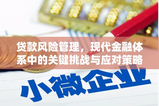 兖州贷款风险管理，现代金融体系中的关键挑战与应对策略
