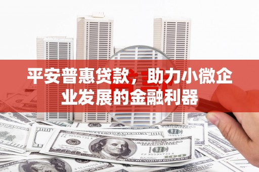 兖州平安普惠贷款，助力小微企业发展的金融利器