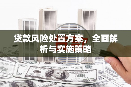 兖州贷款风险处置方案，全面解析与实施策略
